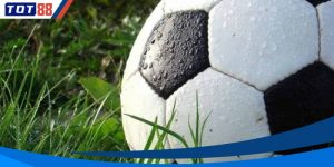 Cách tính tiền cỏ