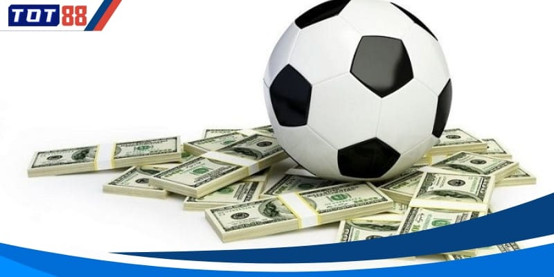 Cách tính tiền cỏ chính xác giúp tránh nhầm lẫn khi nhận thưởng